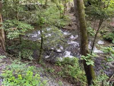 Listen to the sounds of the creek from across the street. It’s a 24 hour sound machine!
