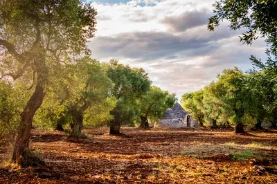 Best Things To Do In Puglia  featured image