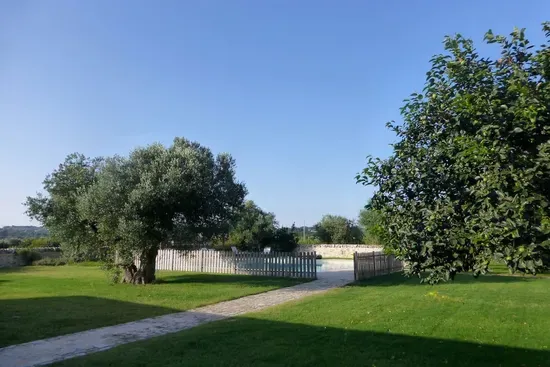 The lawned garden with ancient olive trees