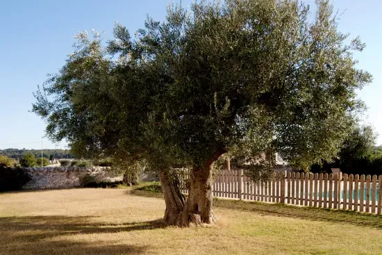 Trullo Fumarola