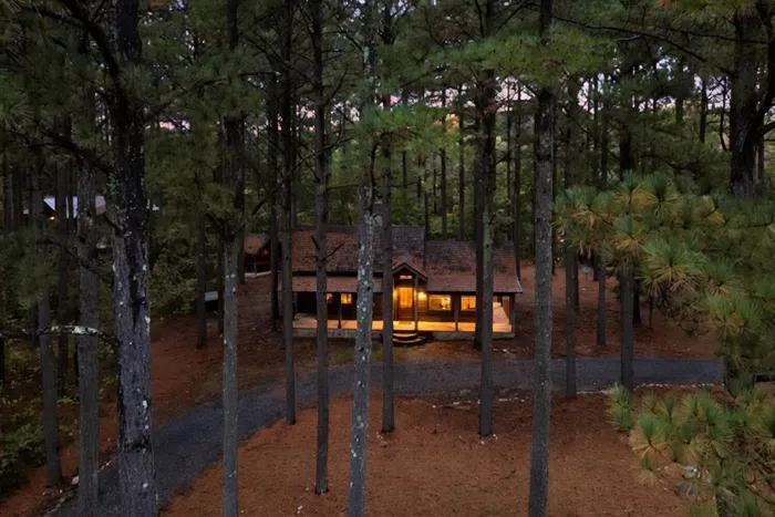 Jacuzzi Cabin - Fireplace -Pets - Sauna - image 5 of 56