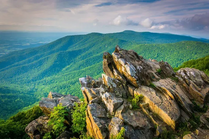 Spend the day exploring Shenandoah National Park. Popular trailheads, scenic overlooks, waterfalls, and Skyline Drive are all within easy reach of Sage & Summit.