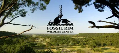 Visiting Fossil Rim Wildlife Center: A Complete Guide featured image