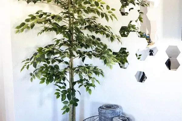 Thoughtful living room touches, like a cozy blanket basket and soft lighting, add warmth and charm to your stay.