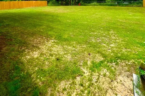 Enjoy the expansive outdoor space, perfect for group activities, relaxation, and connecting with nature.