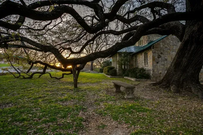 10 Star Ranch - Full Property - image 110 of 140