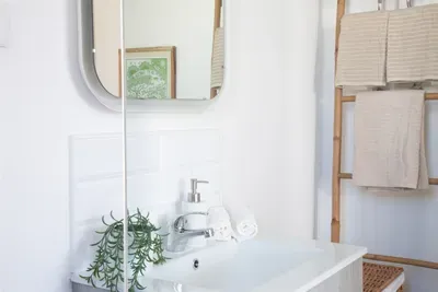 Fresh and Clean