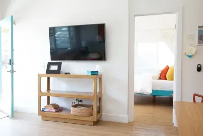 Smart TV