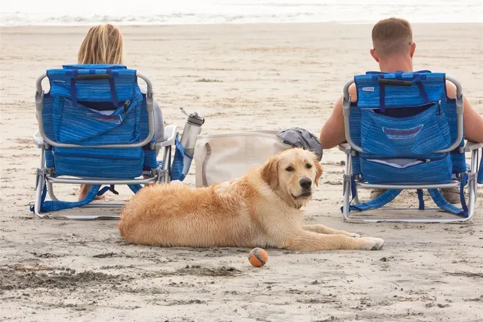 A quick 10 minutes walk north to Dog Beach