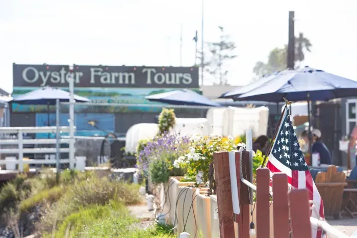 Visit Oyster Farm Tours - right down the road