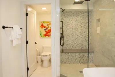 Primary Shower