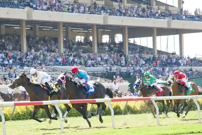 Enjoy Del Mar Race Track for seasonal races