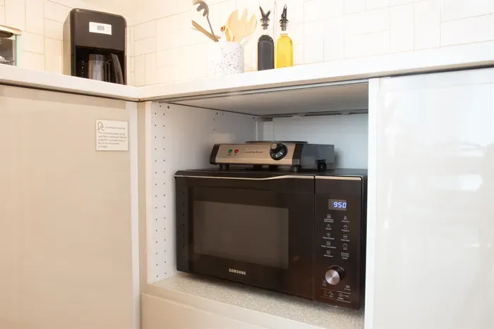 Electric burner and microwave