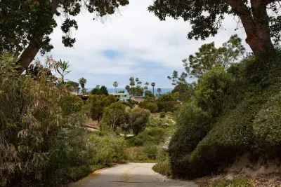 View from the driveway
