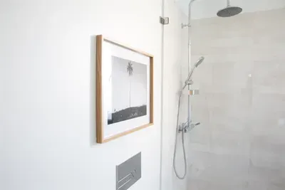 Rain and hand held shower heads