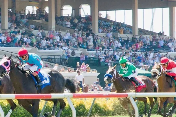 Enjoy Del Mar race track sesonally