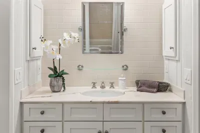 Downstairs guest bathroom