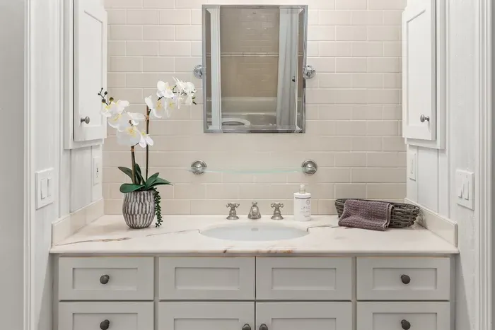 Downstairs guest bathroom