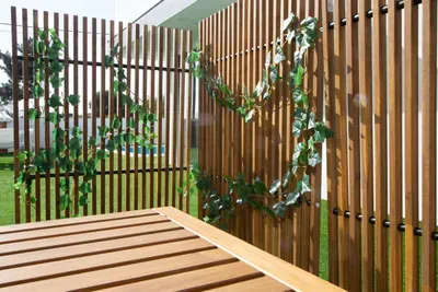 Outdoor patio area with a bit of privacy