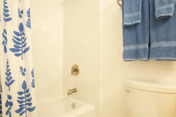 Bathtub and shower