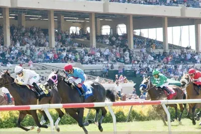 Enjoy the Del Mar track for seasonal horse racing
