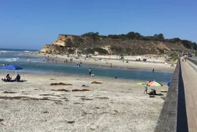 Dog Beach