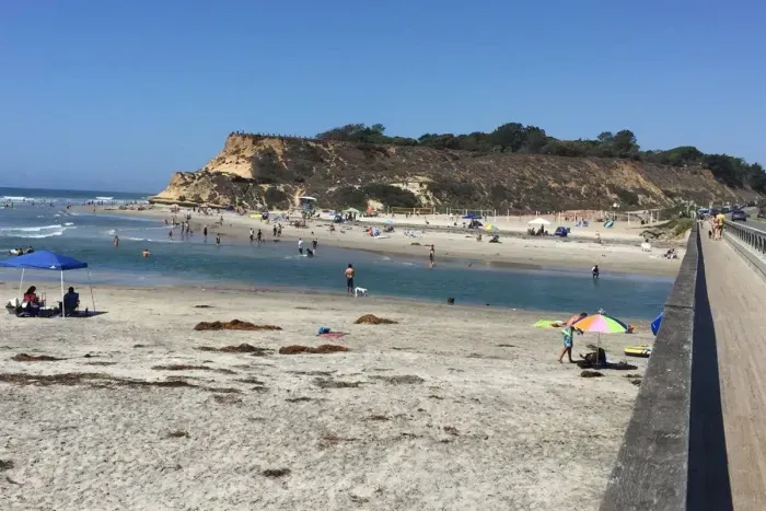 Dog Beach