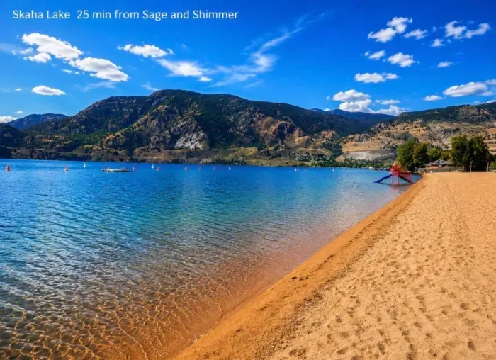 Sage and Shimmer - image 14 of 21