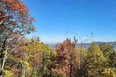 Early fall views from the porch