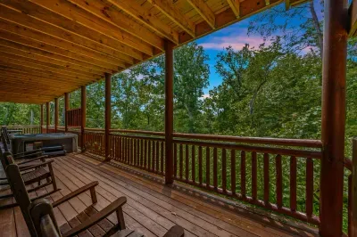 Stare into the Trees