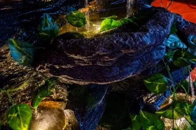 Your own waterfalls coming off the edges of the live edge bar top.