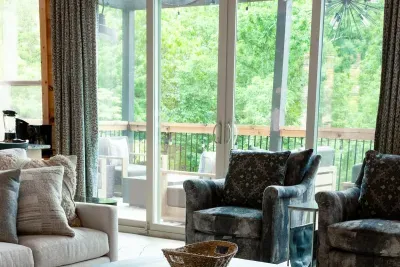 Curl up in a chair and stare at the endless trees