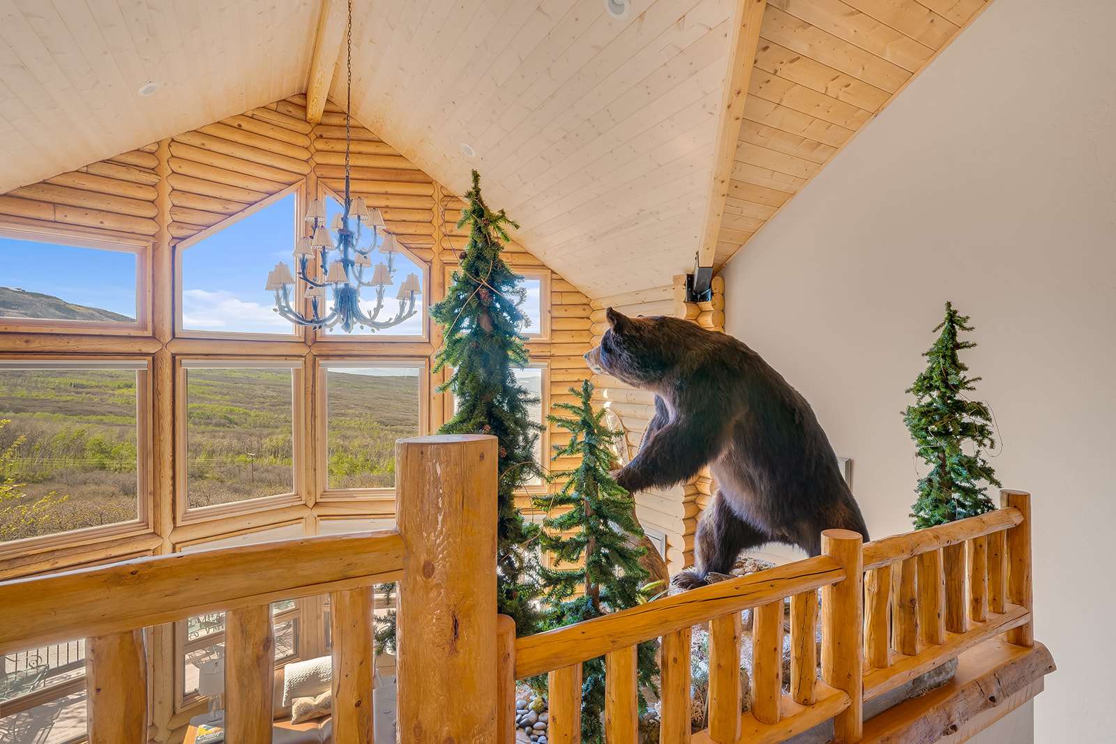 Cabin Interior Loft