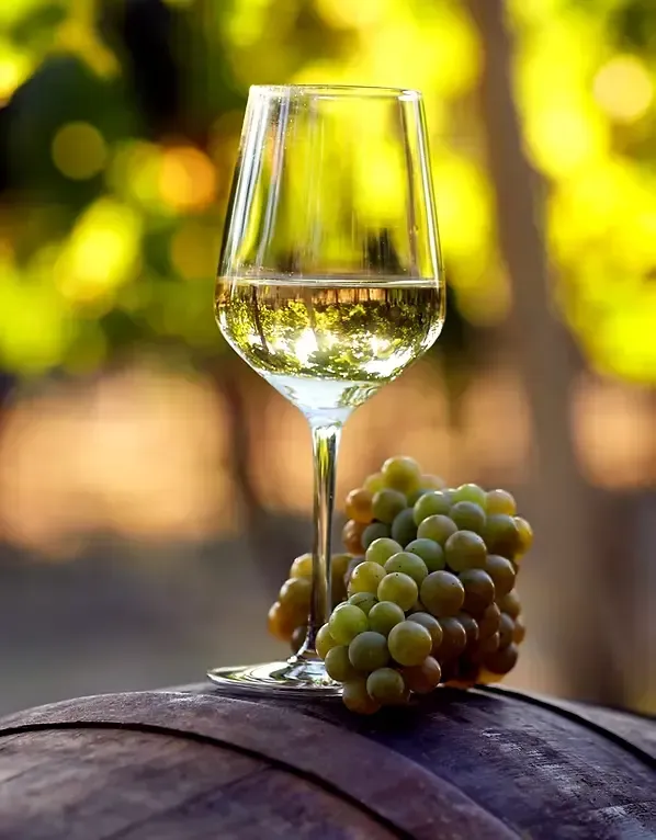 Wine glass and grapes