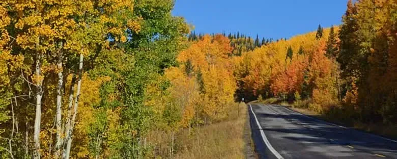 Grand Mesa Scenic Byway