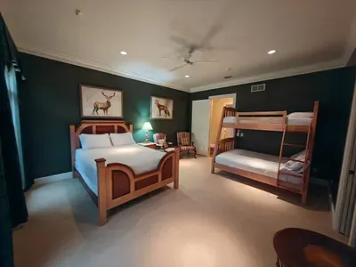 Grand Badger Resort - image 27 of 47