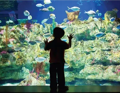 6591_64_NC-aquarium-at-Ft.Fisher_7c626cdb-5056-a348-3a68e11012d3a0be