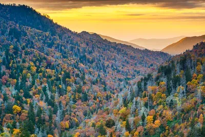 great-smoky-mountains-national-park-tennessee-us-2026-01-09-06-27-53-utc