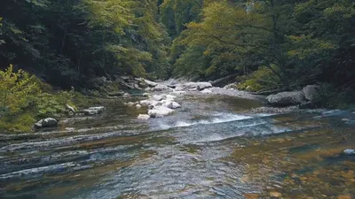 natural-landscape-with-mountains-forest-and-a-riv-2026-01-06-09-33-43-utc