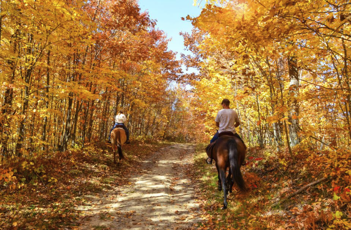 Horseback riding in Fall