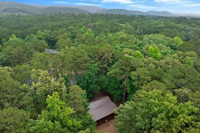 Sugar Bear Lodge - image 2 of 77