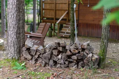Sugar Bear Lodge - image 76 of 77