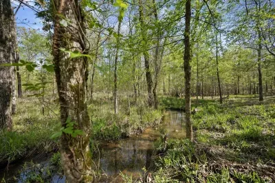 Creekside Crib - image 65 of 75