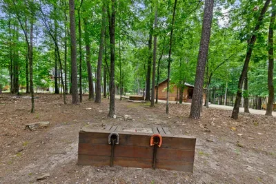 Mountain Bear Lodge - image 77 of 84