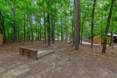 Mountain Bear Lodge - image 76 of 84