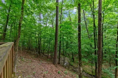 Mountain Bear Lodge - image 64 of 84
