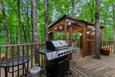Mountain Bear Lodge - image 52 of 84