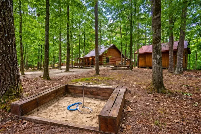 Mountain Bear Lodge - image 3 of 84