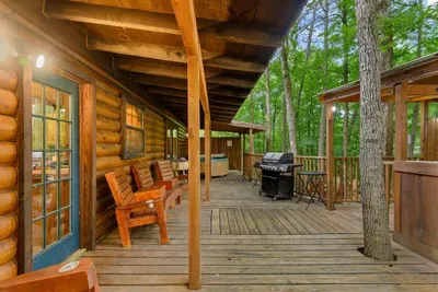 Mountain Bear Lodge - image 46 of 84