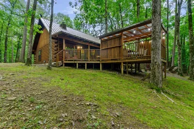 Mountain Bear Lodge - image 66 of 84